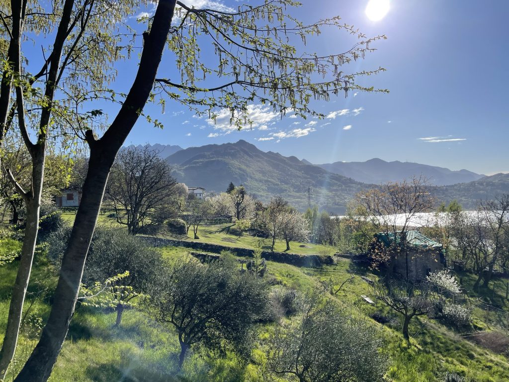 La strada per raggiungere Apicoltura 2 Laghi